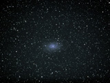 M33