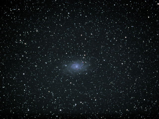 M33